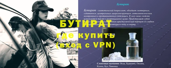 индика Горняк