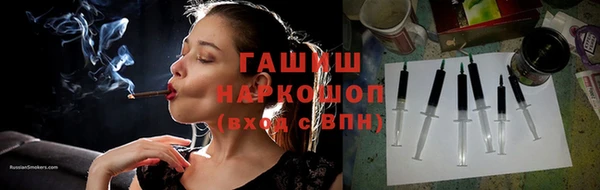 индика Горняк
