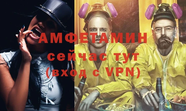 индика Горняк