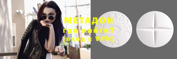 индика Горняк