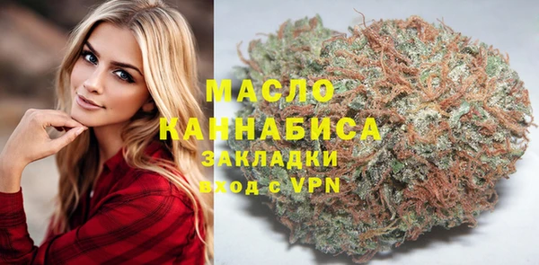индика Горняк