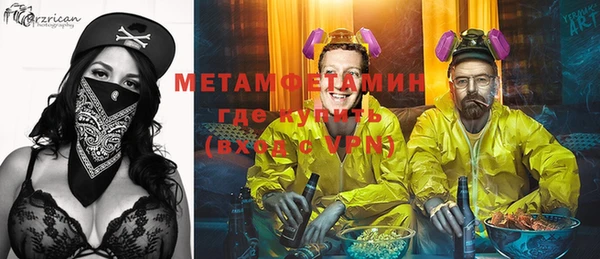 индика Вязьма