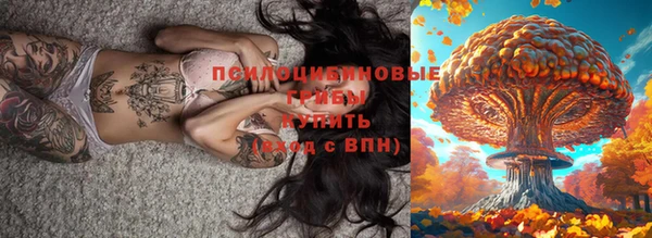 индика Горняк