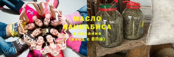 индика Горняк