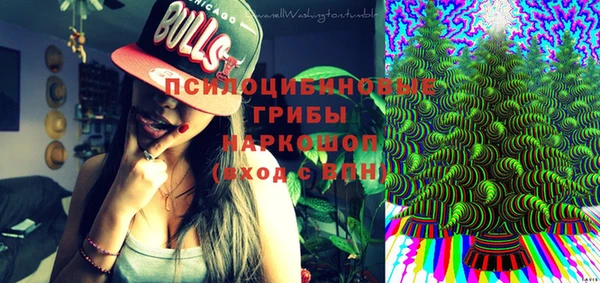 индика Горняк