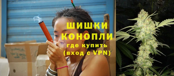 индика Горняк