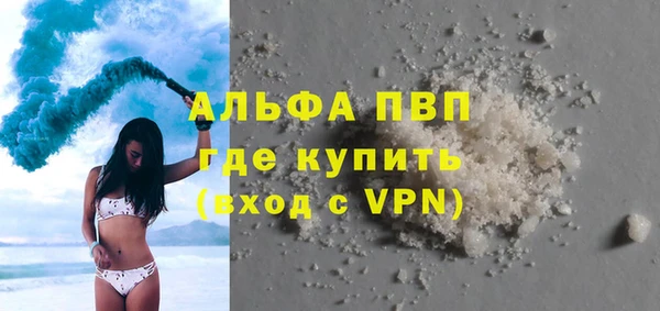 индика Горняк