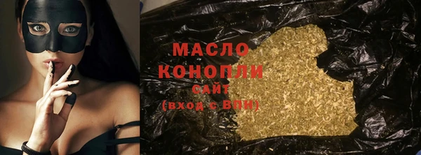 индика Горняк