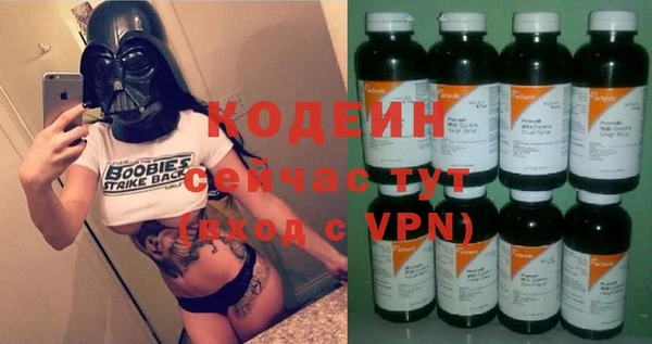 индика Горняк