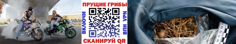 Галлюциногенные грибы MAGIC MUSHROOMS  Купить  Кумертау 